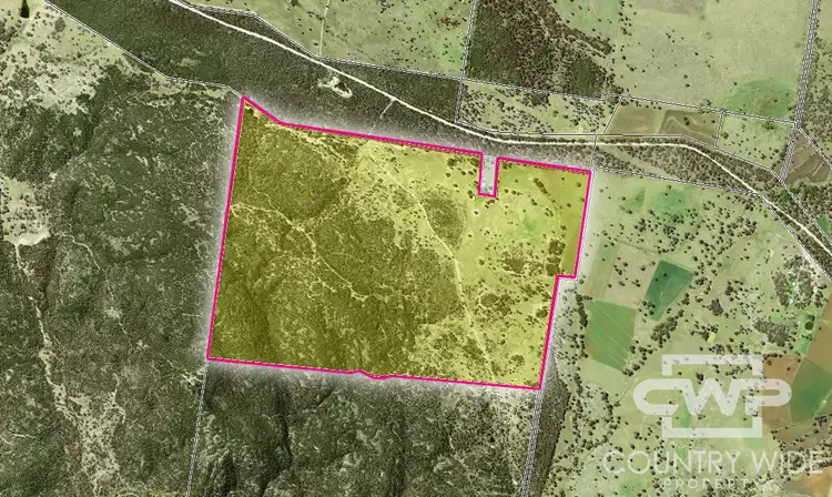 Floorplan of Homely rural property listing, LOT 1, - Emmaville Rd, Emmaville NSW 2371