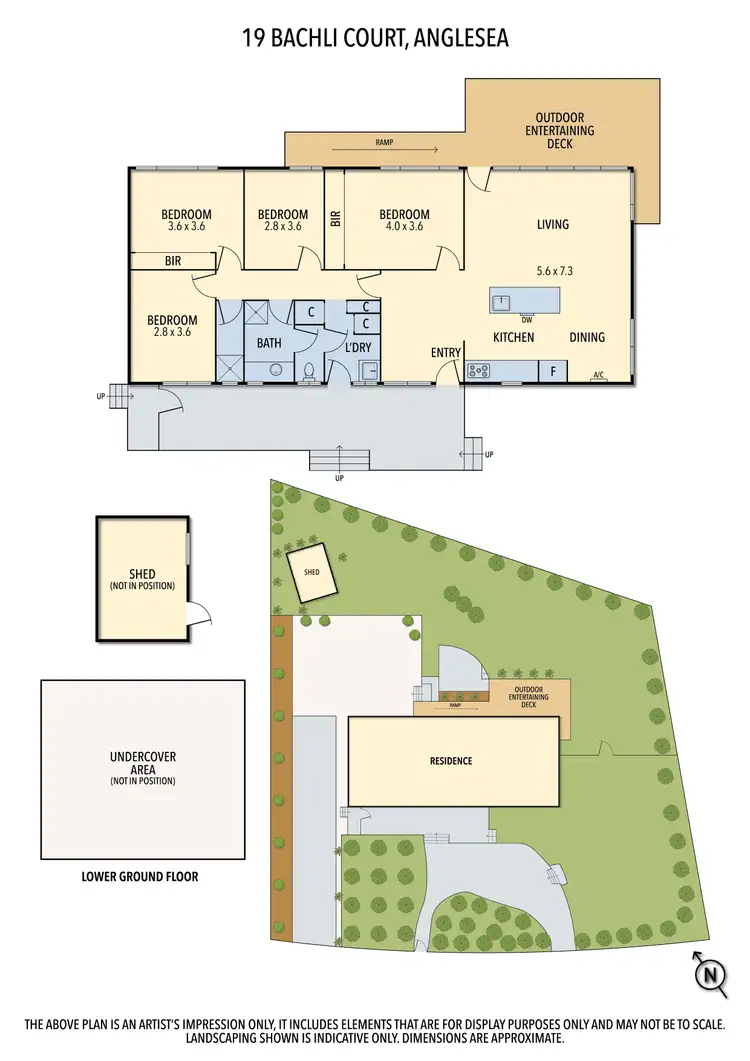 Floorplan of Homely house listing, 19 BACHLI COURT, Anglesea VIC 3230