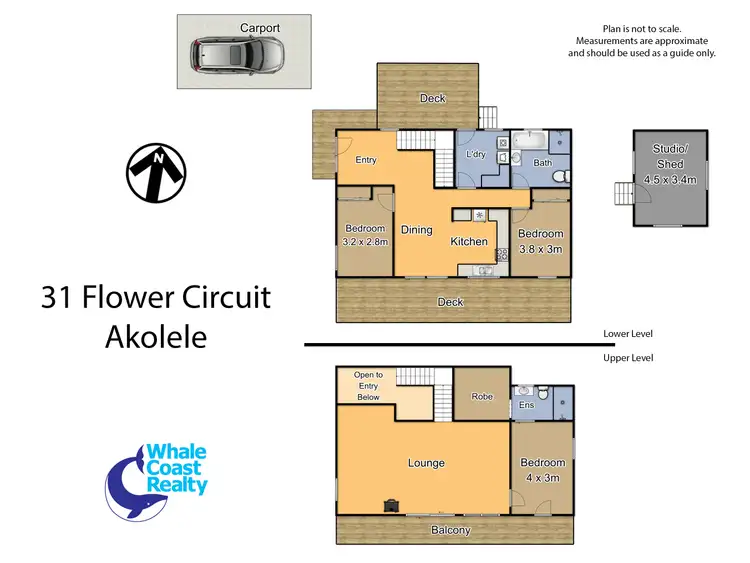 Floorplan of Homely house listing, 31 Flower Circuit, Akolele NSW 2546
