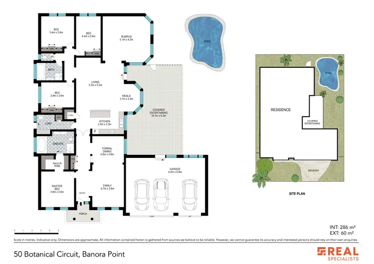 Floorplan of Homely house listing, 50 Botanical Circuit, Banora Point NSW 2486