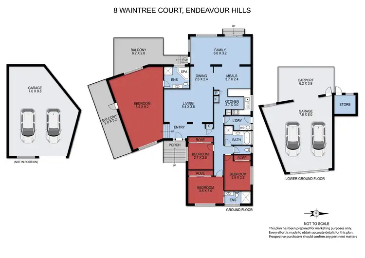 Floorplan of Homely house listing, 8 Waintree Court, Endeavour Hills VIC 3802