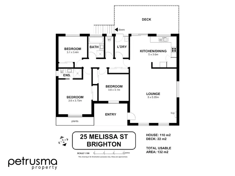 Floorplan of Homely house listing, 25 Melissa Street, Brighton TAS 7030
