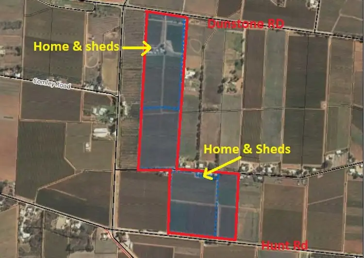 Floorplan of Homely rural property listing, 298 Hunt, Barmera SA 5345