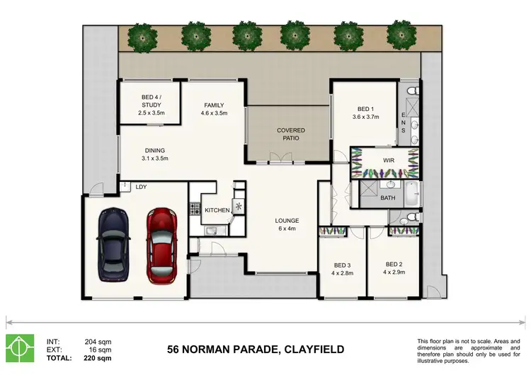 Floorplan of Homely house listing, 56 Norman Parade, Clayfield QLD 4011