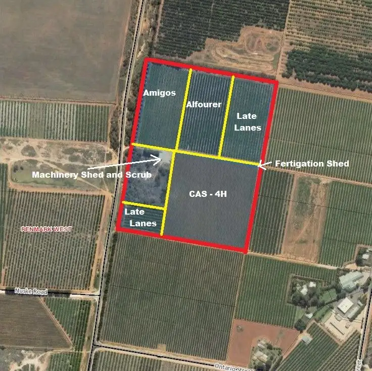Floorplan of Homely rural property listing, Lot 1 & 2 Government, Renmark West SA 5341