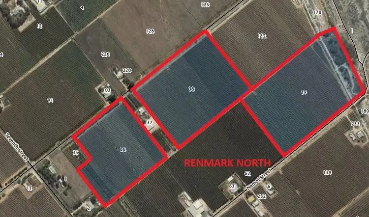 Floorplan of Homely rural property listing, 36,38 & 39 Culgoa Street, Renmark SA 5341