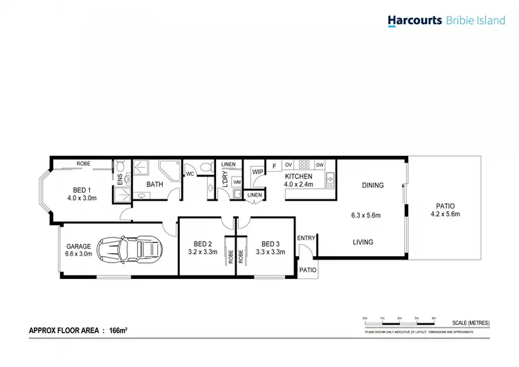 Floorplan of Homely semi-detached listing, 1/63 Phoenix Avenue, Bongaree QLD 4507