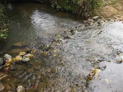 Floorplan of Homely rural property listing, Address available on request