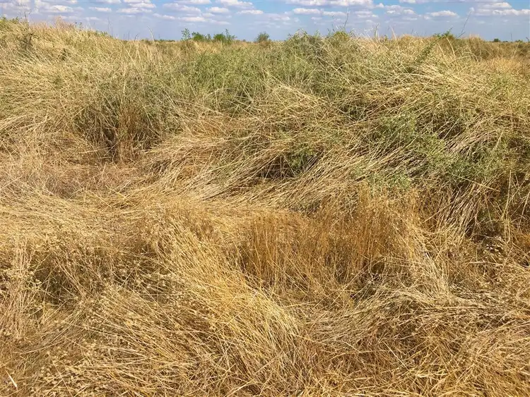 Floorplan of Homely rural property listing, . "Ramsay" Cobb Highway, Booroorban NSW 2710