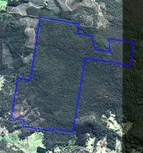 Floorplan of Homely rural property listing, 481 Priestleys Lane, Birralee TAS 7303