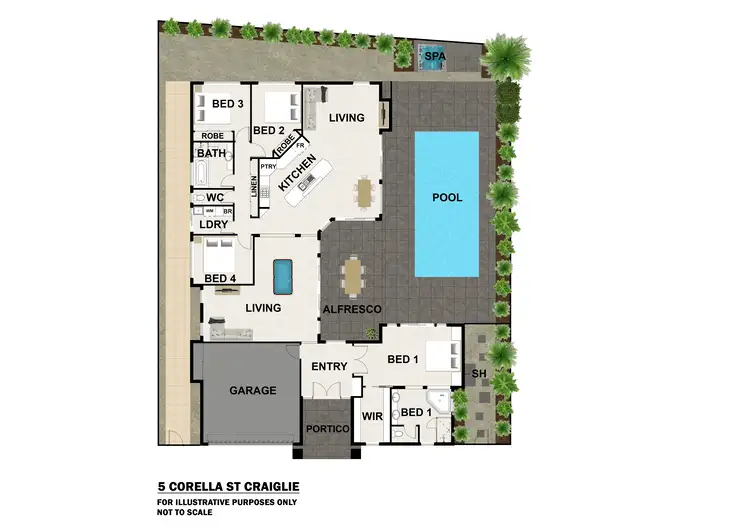 Floorplan of Homely house listing, 5 Corella Street, Port Douglas QLD 4877