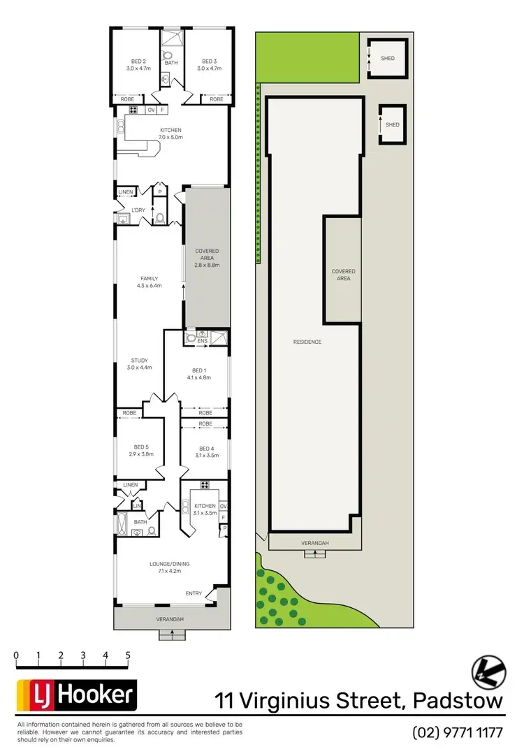Floorplan of Homely house listing, 11 Virginius Street, Padstow NSW 2211