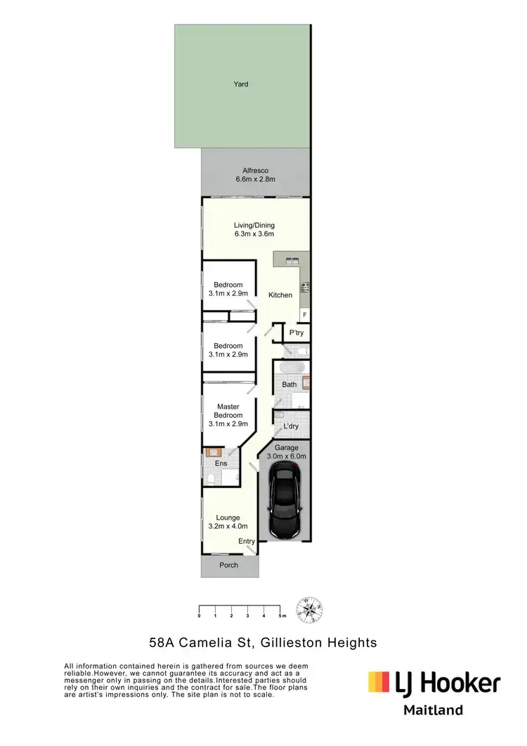 Floorplan of Homely semi-detached listing, 58a Camelia Street, Gillieston Heights NSW 2321