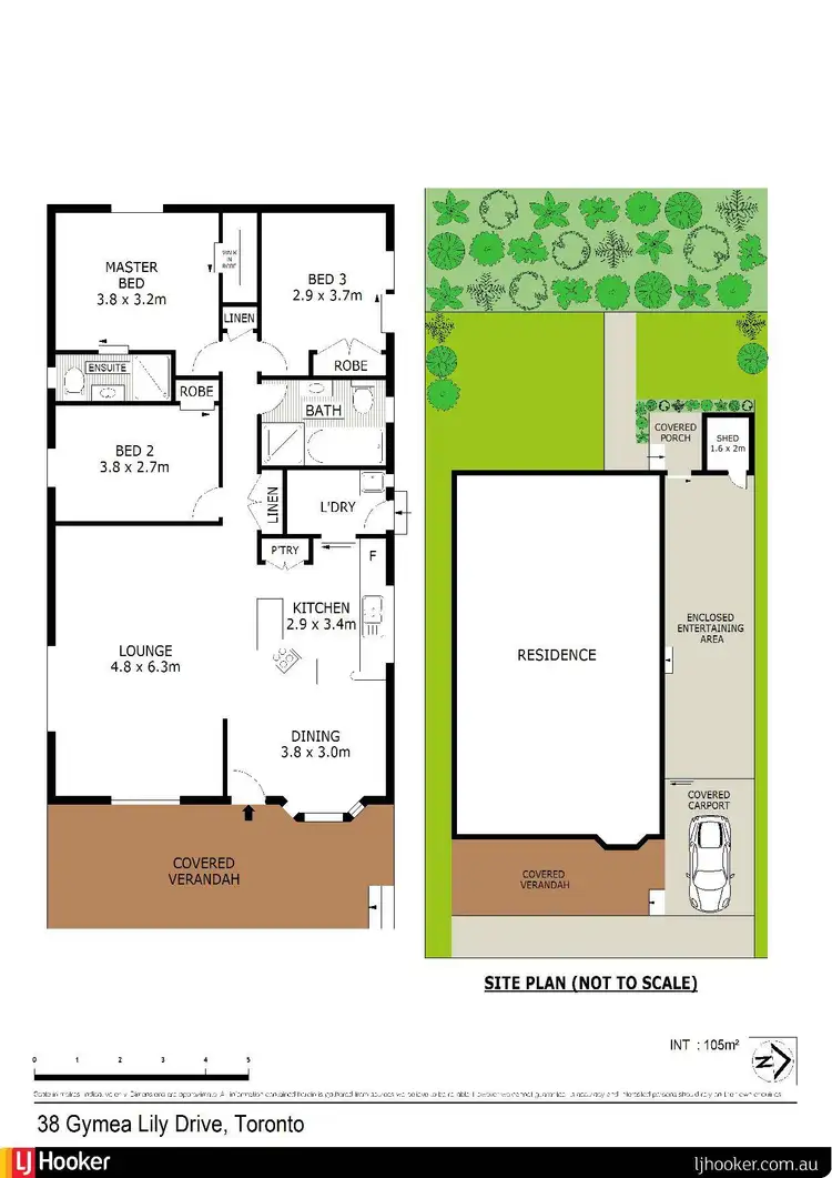 Floorplan of Homely house listing, 38 Gymea Lily Drive, Toronto NSW 2283