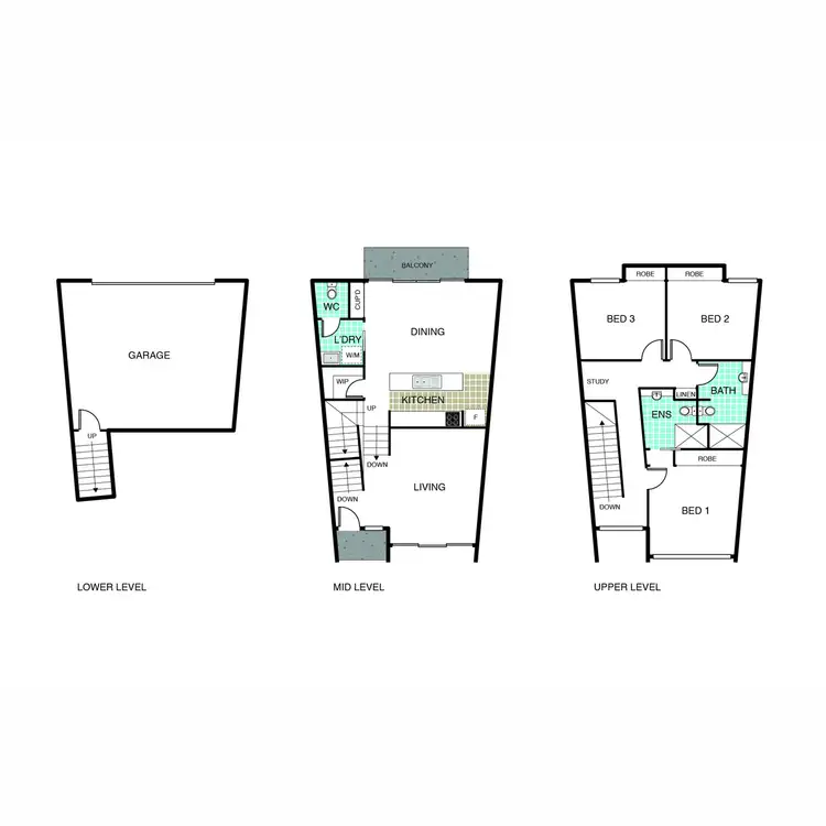 Floorplan of Homely townhouse listing, 3B Bellbird Loop, Lawson ACT 2617
