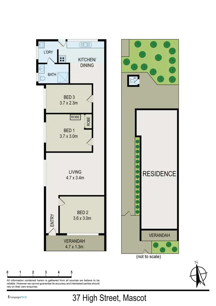 Floorplan of Homely house listing, 37 High Street, Mascot NSW 2020