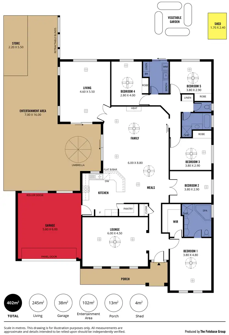Floorplan of Homely house listing, 10 Sedge Street, Aldinga Beach SA 5173