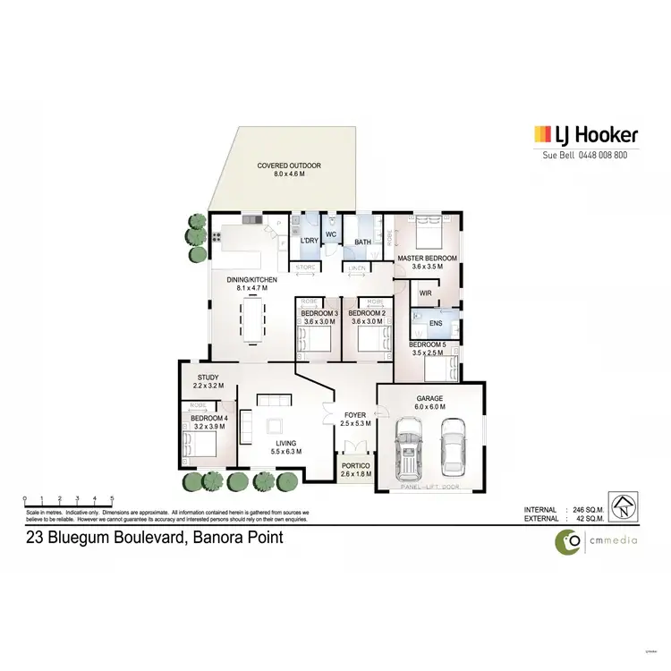 Floorplan of Homely house listing, 23 Bluegum Boulevard, Banora Point NSW 2486