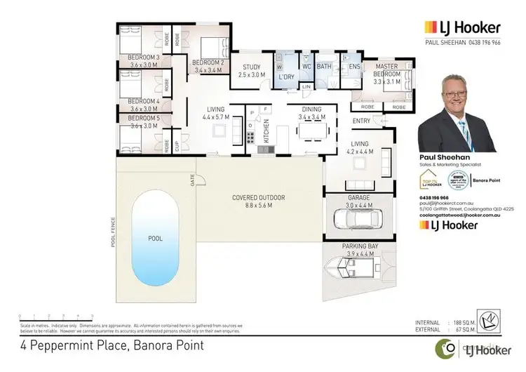 Floorplan of Homely house listing, 4 Peppermint Place, Banora Point NSW 2486