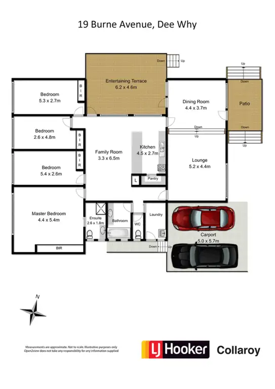 Floorplan of Homely house listing, 19 Burne Avenue, Dee Why NSW 2099