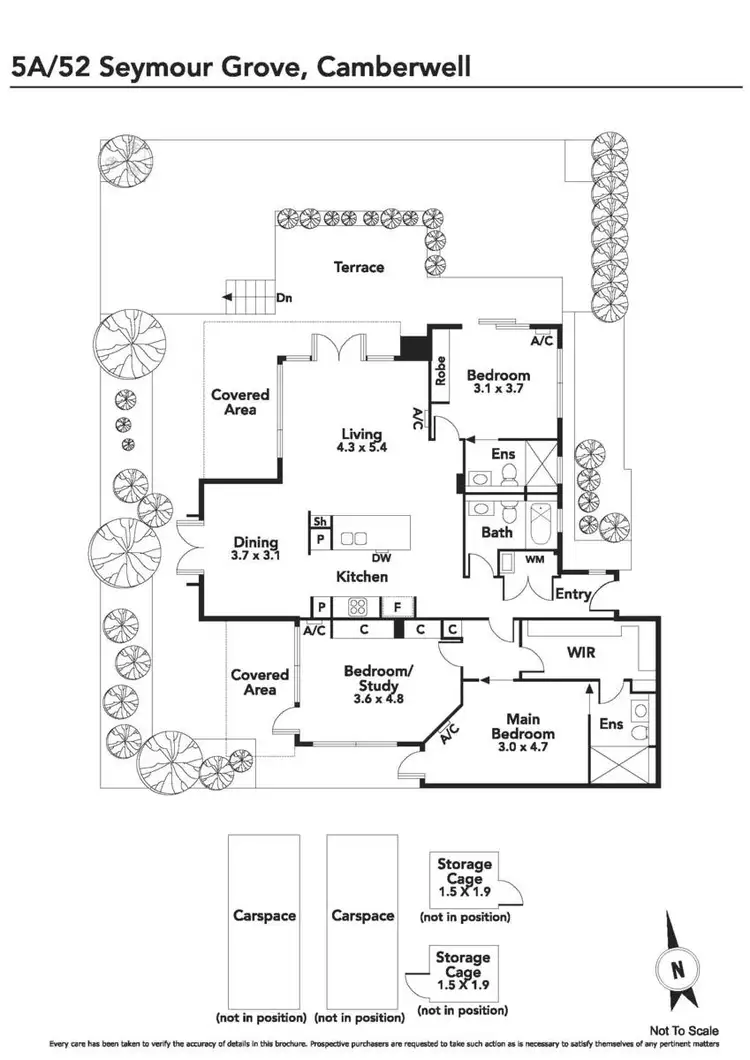 Floorplan of Homely townhouse listing, 5/52 Seymour Grove, Camberwell VIC 3124