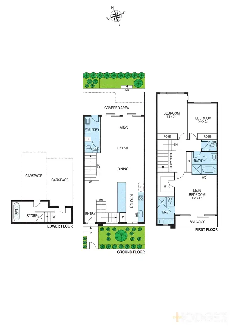 Floorplan of Homely townhouse listing, 107d Collins Street, Mentone VIC 3194