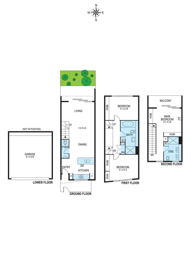 Floorplan of Homely townhouse listing, 10/3 Adelaide Street, Mckinnon VIC 3204
