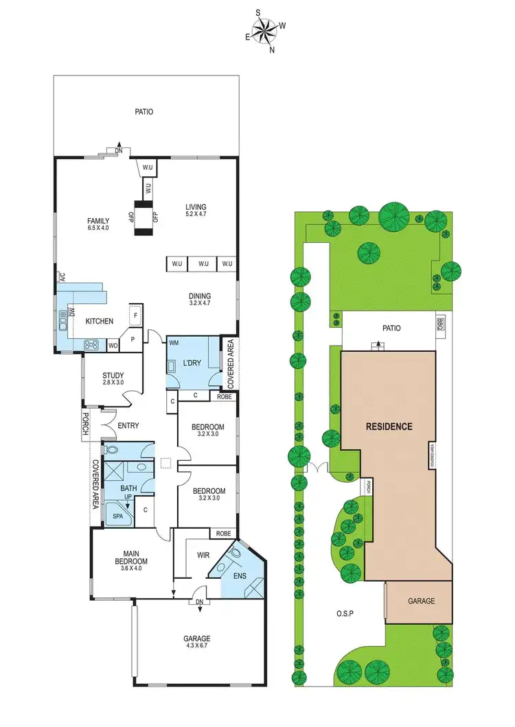Floorplan of Homely house listing, 26 Paschal Street, Bentleigh VIC 3204