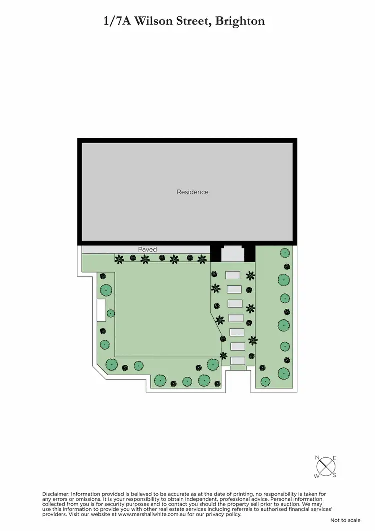 Floorplan of Homely townhouse listing, 1/7A Wilson Street, Brighton VIC 3186