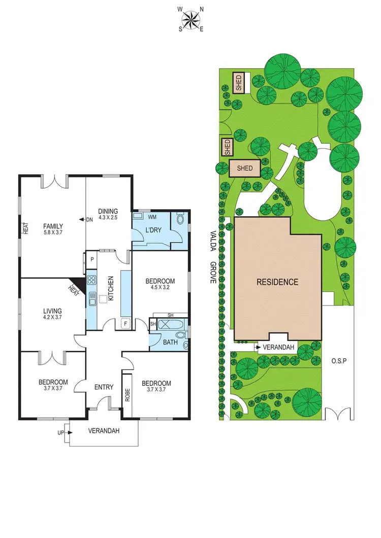Floorplan of Homely house listing, 59 Male Street, Brighton VIC 3186