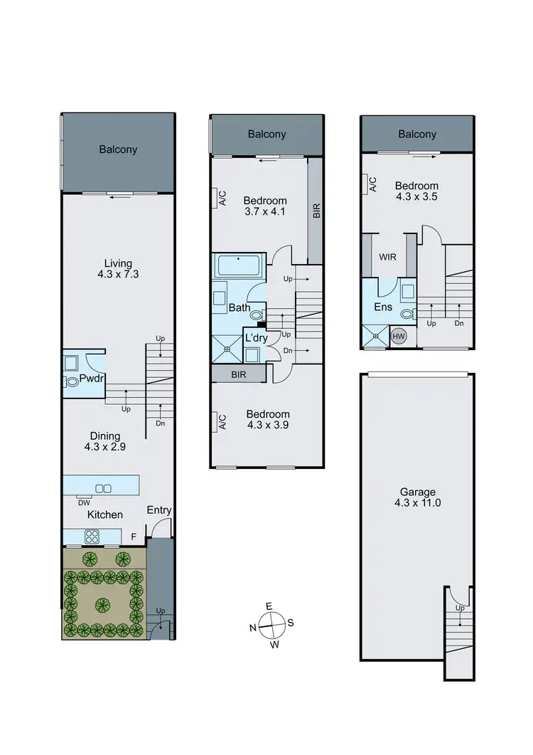 Floorplan of Homely townhouse listing, 2/77 Atkinson Street, Chadstone VIC 3148
