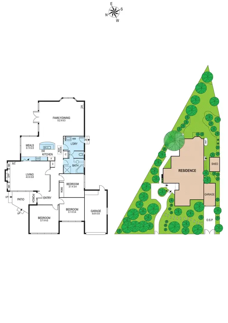 Floorplan of Homely house listing, 10 Auckland Street, Bentleigh VIC 3204