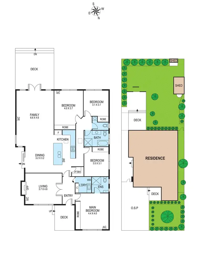 Floorplan of Homely house listing, 54 Mortimore Street, Bentleigh VIC 3204