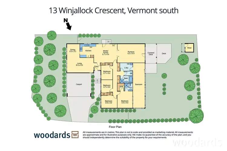 Floorplan of Homely house listing, 13 Winjallock Crescent, Vermont South VIC 3133