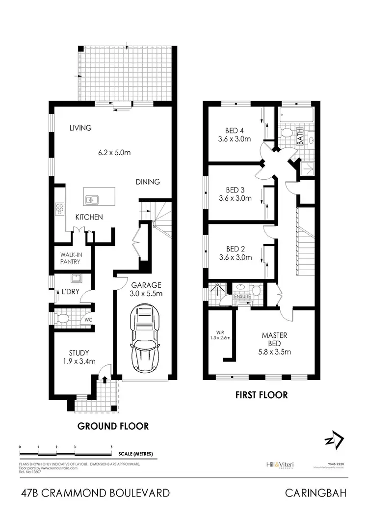 Floorplan of Homely semi-detached listing, 47B Crammond Boulevard, Caringbah NSW 2229