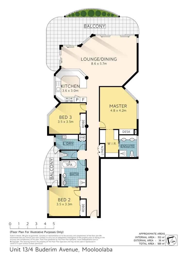 Floorplan of Homely apartment listing, 13/4 Buderim Avenue, Alexandra Headland QLD 4572