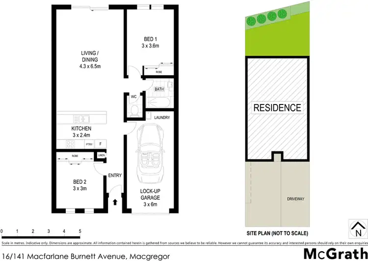 Floorplan of Homely townhouse listing, 16/141 Macfarlane Burnett Avenue, Macgregor ACT 2615