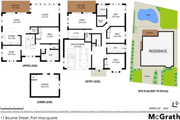 Floorplan of Homely house listing, 17 Bourne Street, Port Macquarie NSW 2444