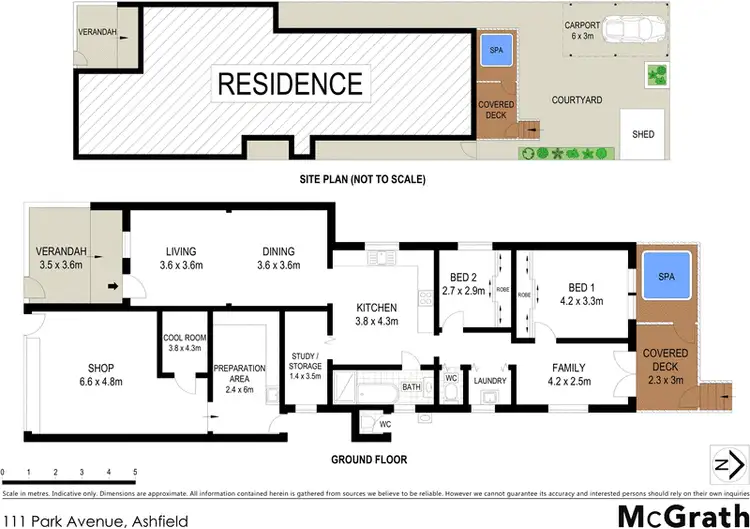 Floorplan of Homely house listing, 111 Park Avenue, Ashfield NSW 2131