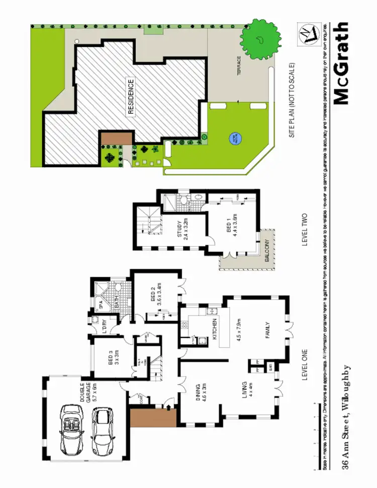 Floorplan of Homely house listing, 36 Ann Street, Willoughby NSW 2068