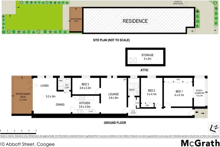 Floorplan of Homely house listing, 10 Abbott Street, Coogee NSW 2034