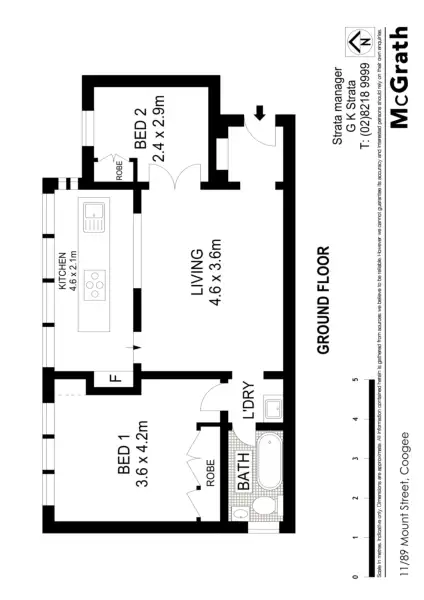Floorplan of Homely apartment listing, 11/89 Mount Street, Coogee NSW 2034