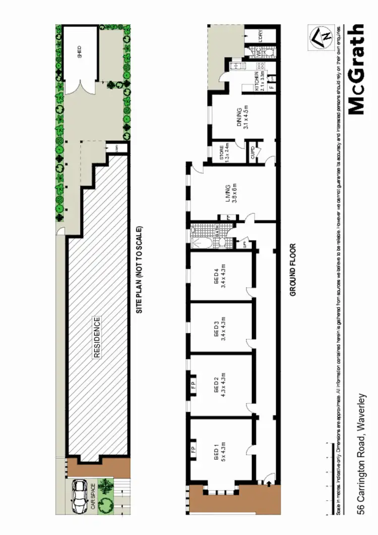 Floorplan of Homely house listing, 56 Carrington Road, Waverley NSW 2024