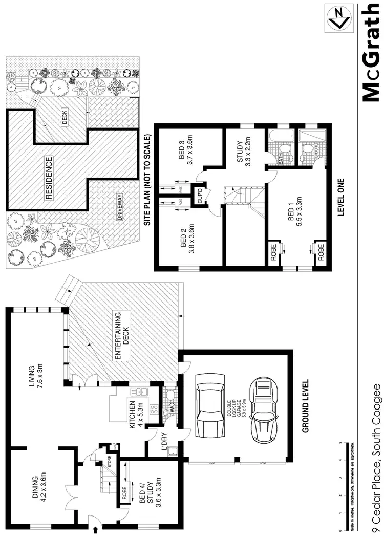 Floorplan of Homely house listing, 9 Cedar Place, South Coogee NSW 2034