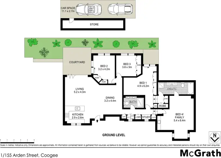 Floorplan of Homely apartment listing, 1/155 Arden Street, Coogee NSW 2034