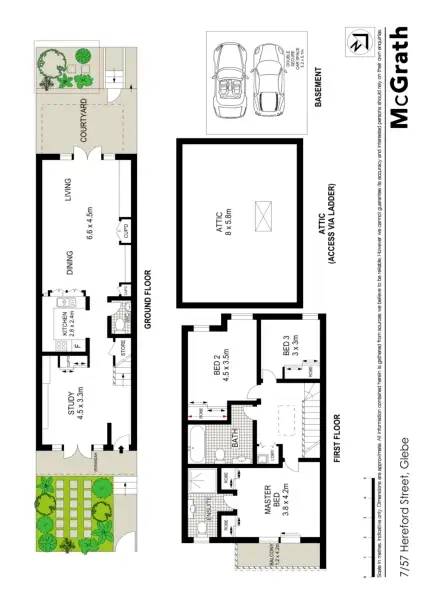 Floorplan of Homely townhouse listing, 7/57 Hereford Street, Glebe NSW 2037
