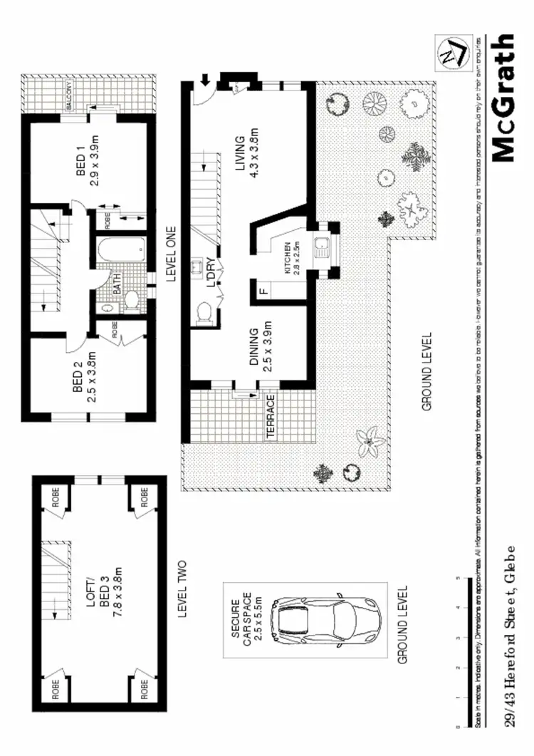 Floorplan of Homely townhouse listing, 29/43 Hereford Street, Glebe NSW 2037