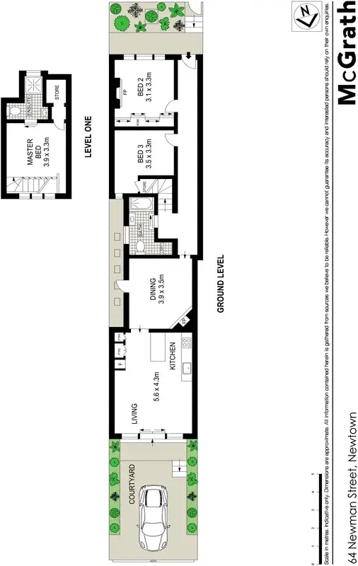 Floorplan of Homely house listing, 64 Newman Street, Newtown NSW 2042