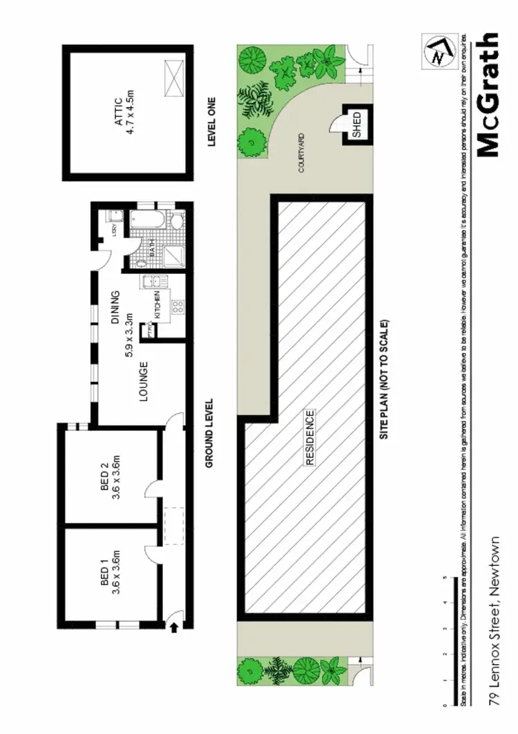 Floorplan of Homely house listing, 79 Lennox Street, Newtown NSW 2042