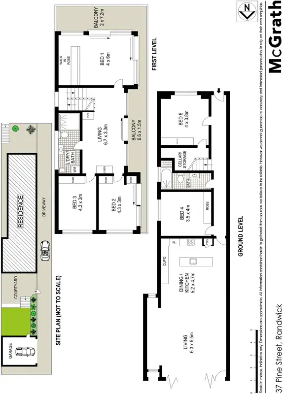 Floorplan of Homely house listing, 37 Pine Street, Randwick NSW 2031